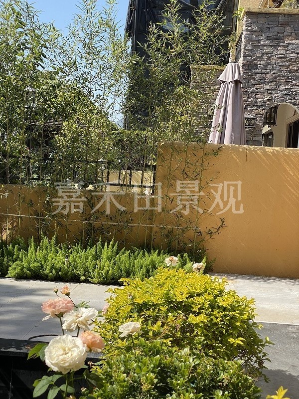 別墅花園的養(yǎng)護(hù)技巧包括哪些方面？